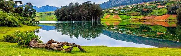 Ooty