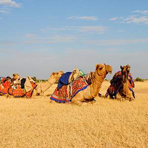 Kutch