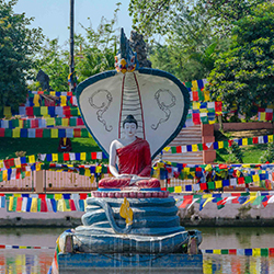 Buddhist Sector Tour Package India